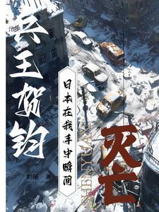 贺将军是谁
