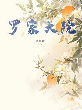 罗家大院怎么去