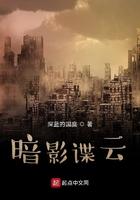 暗影谍云TXT免费