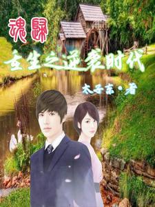 重生农村创业