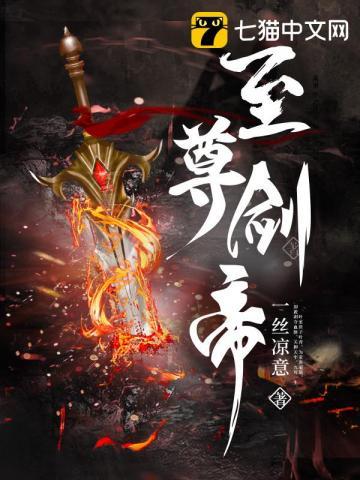 至尊剑帝叶风叶紫灵