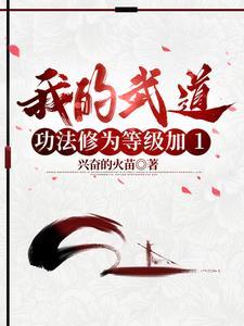 我的武道能升级txt