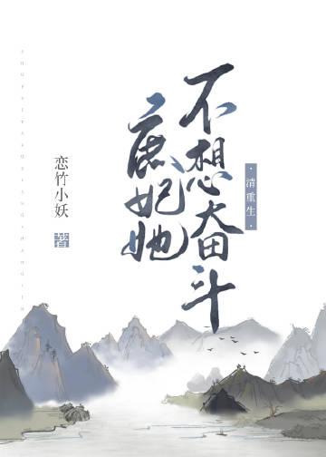 庶妃升级清穿