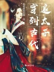 太子追太子妃的
