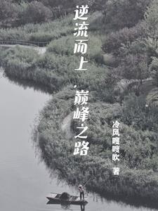 官道之se