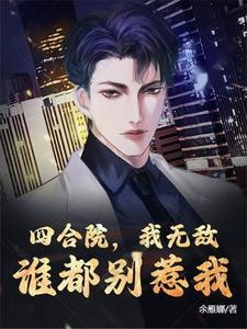 四合院别惹我