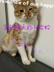 诸天穿越从龙蛇开