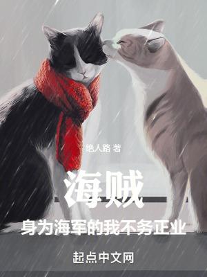 海贼在海军当吉祥物的日子夜雨后重明