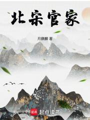 宋朝的官家