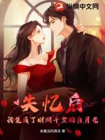 失忆后我成了豪门贵妇作者沐兮之