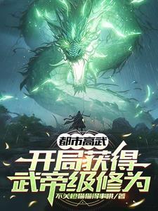 玄幻都市之高武时代