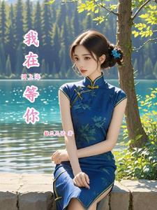 我在上海的歌