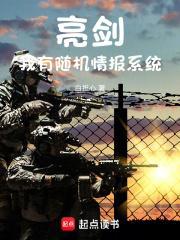 亮剑我有随机情报系统白担