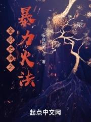 全职法师火种大全