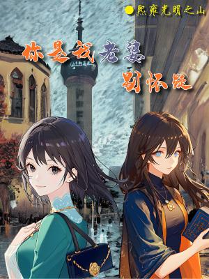 歌曲你是我老婆
