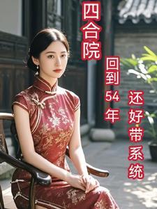四合院从1965崛起顶点