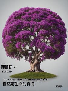 德鲁伊什么意思