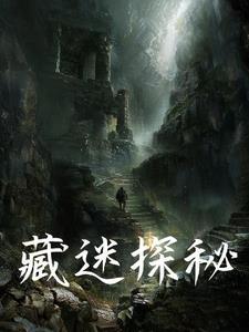 藏密之泪怎么过
