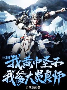 三国乱世枭雄攻略