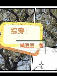 综穿影视