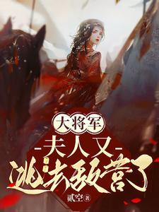 将军!夫人又去打劫了