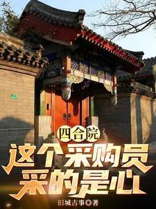 四合院从售货员到世界大亨笔趣阁