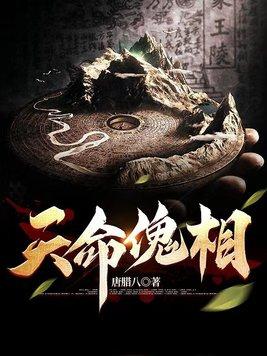 天命阁陌生