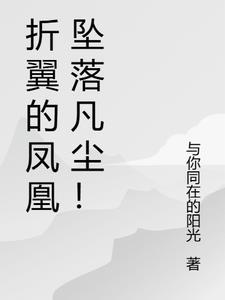 折翅的凤凰