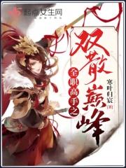 全职高手之双神巅峰