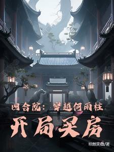 穿越四合院我是何晓