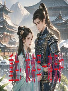 重生将军vs