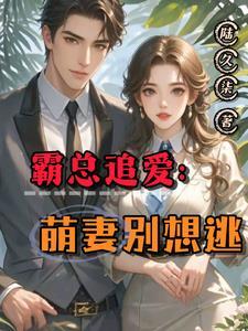霸总追婚夫人