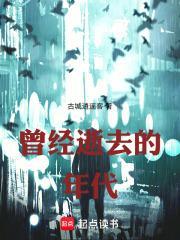 曾经逝去的年代网络免费阅读
