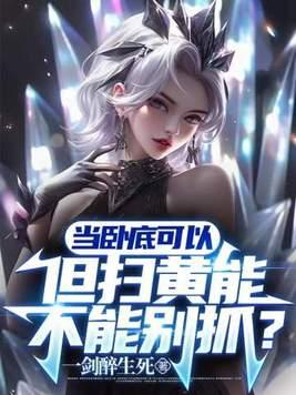 扫黄进去有案底吗