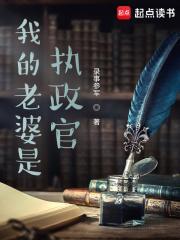 我的老婆是执政官百度