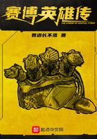 赛博英雄传豆瓣