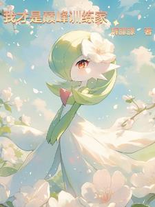 宝可梦系统文