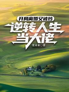 开局就离婚的