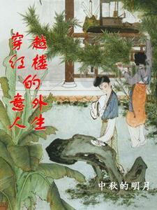 穿越红楼的有哪些