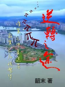 逆转 pan