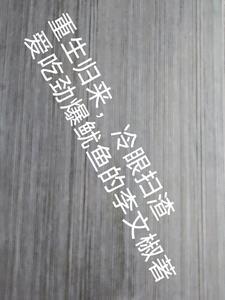 重生归来慕先生彻底失了控
