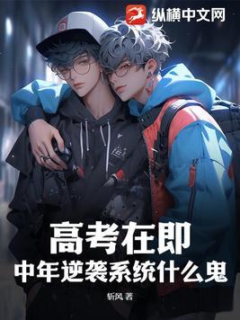 中年逆袭的电视剧
