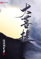 大菩提怎么盘