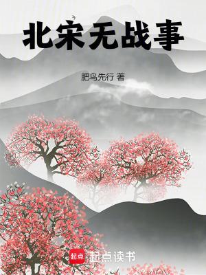北宋打仗