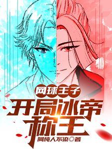 网王冰帝之