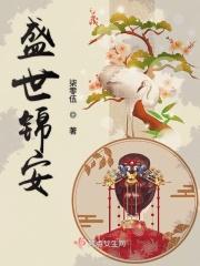 盛世锦安TXT