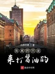 我就是去打酱油的