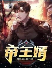 帝王婿tXt免费