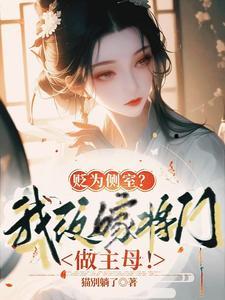 二嫁主母娇又软民国少帅夜夜洗床单 梦遥