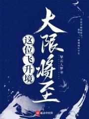 飞升境界都有哪些